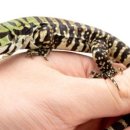 블랙엔화이트 이미지