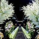 홈플러스 주식회사 인천 숭의점 | 인천 식장 상담 후기 - 숭의 아레나파크 / 서구 아시아드시아드 웨딩홀