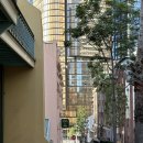 🇦🇺 여자혼자 7박 9일 호주여행 Day 3 / 포토스팟 대방출✨ 블루스포인트, 노스시드니, 클라크파크, 루나...