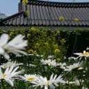 스테이 인 공간 이미지