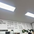 용용이네 | [용용이네고사리육개장] 제주도 서귀포 고사리육개장 맛집 용용이네고사리육개장
