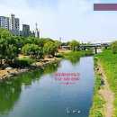 상인초등학교+사랑샘유치원 이미지