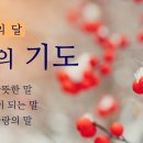 [시 한 편, 기도문] 주용일의 시 ＜1월＞, 정목스님의 ＜1월의 기도＞ 이미지