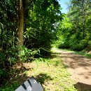 치산돌담모과마을 | 군위 시티투어로 본 군위 사유원(思惟園)