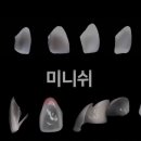 장인치과기공소 이미지