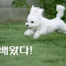 기다리다