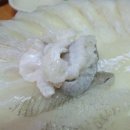 포항 물횟집 이미지