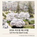pet24라9602 | 2026 러브썸 페스티벌 D-1최종정리! 연세대 노천극장 타임테이블 3년차의 준비물 꿀팁