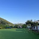 몽실이네 이미지