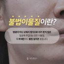 세진성형외과의원