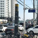 오월문 | 김포 고촌 대형카페 오월당카페 애견동반 가능 다녀온 후기