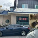 까꿍이국밥(본점) 이미지