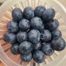 🍉블랙펄수박 🍅 예스 방울토마토 💛 성주 용암골 참외 🍎 청송 사과 🧃 100%쥬스 특가 🍫 킨더 해피히포 🍇 스윗글로 이미지