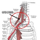 한빛영상의학과의원 이미지