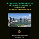 White공인중개사사무소 이미지