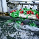 용수산업 이미지