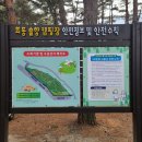 산솔면-11(큰터 만물슈퍼 앞) | 정선 회동솔향캠핑장 B-4, 사이트 데크 정보 2월말 너무 추웠던 캠핑 (feat. 고양이 퇴치 방법)