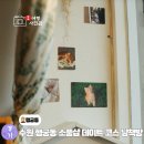 CW-1310-01 | 수원 행궁동 행리단길 데이트 놀거리 소품샵 냥책방