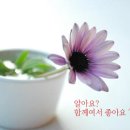 멋진친구 Daum카페