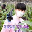 신성농장 이미지