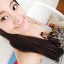 클라라애견 이미지