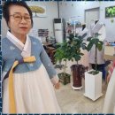 정나진한복