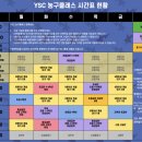 YSC(와이에스씨) 네이버블로그