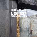 광빨 - 수원시 권선구 평동로 65 | 광주내부세차 스파크차량 의자탈거 바닥곰팡이제거 광빨스토리첨단점 후기