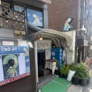 아이와 대학로 공연 후기 | 바디뮤직코리아 ‘미스터리, 미스터 리’ 5세도 몰입한 리듬의 시간