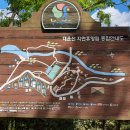 대운산 자연휴양림 캠핑장 이미지