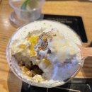 갤러리아 고메이 494 맛집, 오크베리, 초당옥수수 디저트 콘서트 팝업, 데일리픽스 가지튀김, 감촌순두부