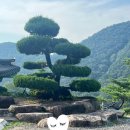 백천사 | 경남_17개월 아기랑 사천 8박 9일 여행 후기(5)(백천사,카카오호텔)