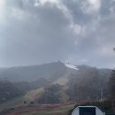 팔석 | 휘닉스 오픈런 뛰어.