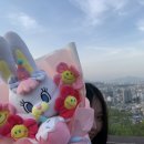 다인리코 이미지