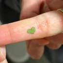 벽계수림 | 양평 독채 펜션 <벽계수림> 방 3개 가족/커플모임에 딱!(애견동반 가능)