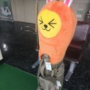 나인스포렉스