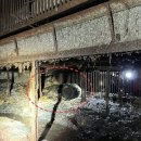 웅담2농장 이미지