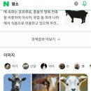 복개천염소탕