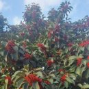 상예경로당 이미지