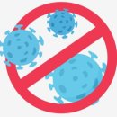 포도나무 음악학원 이미지