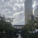 곡성-248 | 도쿄 여행기 (3,4,5일차)