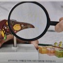제일속시원내과의원 네이버블로그