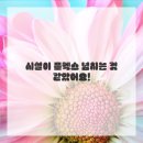 신구대학교부속치과의원 | 갑자기 치과 갈 일이 생겼을 때 대처법?