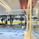 마레마레송정 이미지