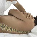 삼성메디칼의원 이미지