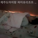 제주도아이랑 파미유리조트 키즈가족펜션 | 제주도펜션 제주도아이랑 파미유리조트 키즈가족펜션 가격 위치 안내
