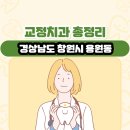 신항외과의원 | 경상남도 창원시 용원동 교정치과 총정리