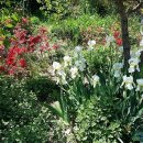 바다를 닮은집 이미지