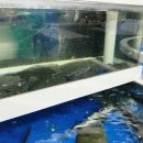 용산-143 이미지