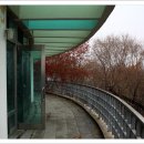 보문산공원로 이미지